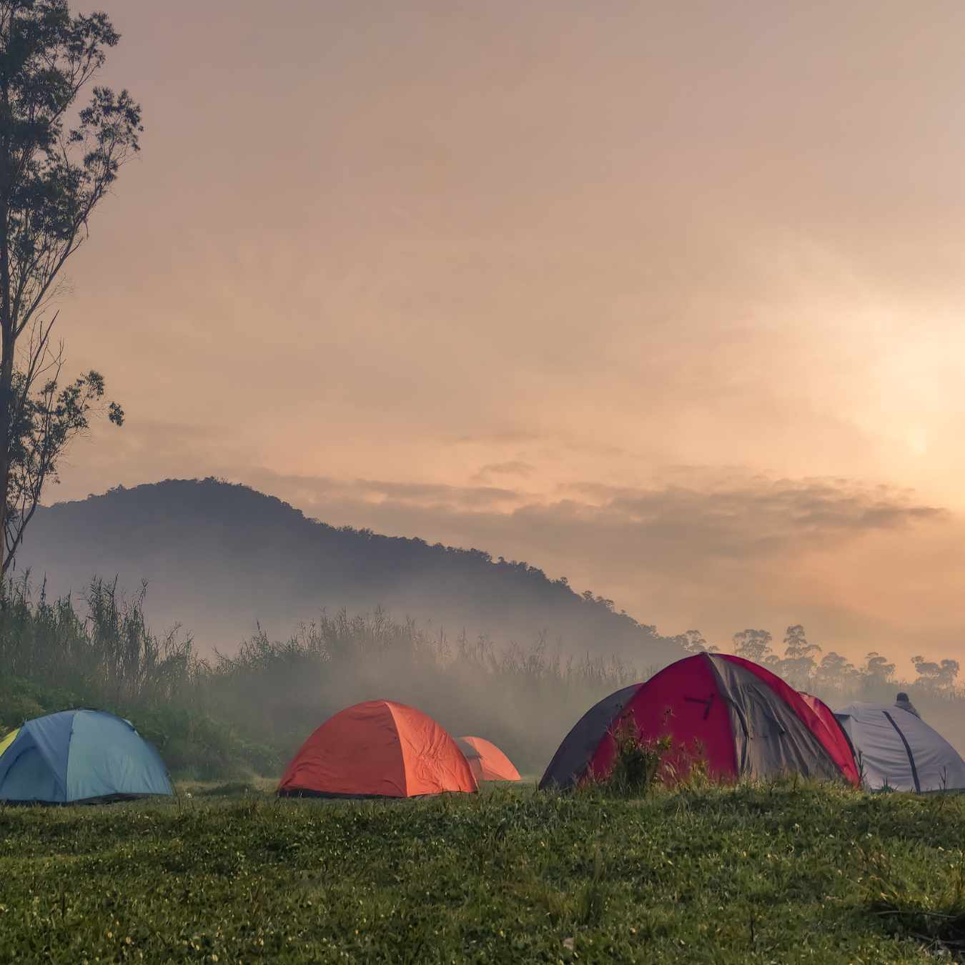 Campsite tents with mountain landscape