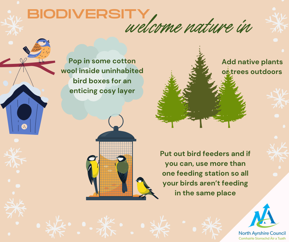 Biodiversity tips for birds and planting native species