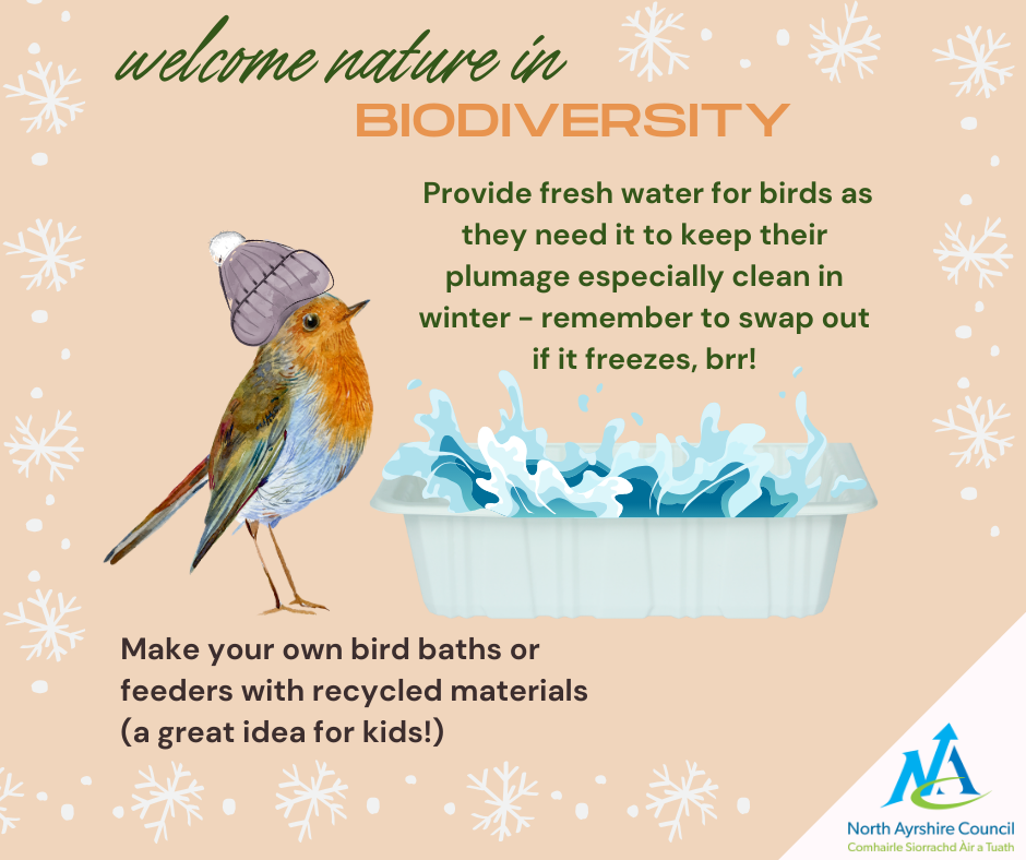 Robin decorative biodiversity graphic encouraging people to leave water out for birds in winter