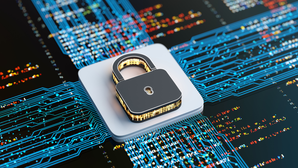 Network padlock cyber security