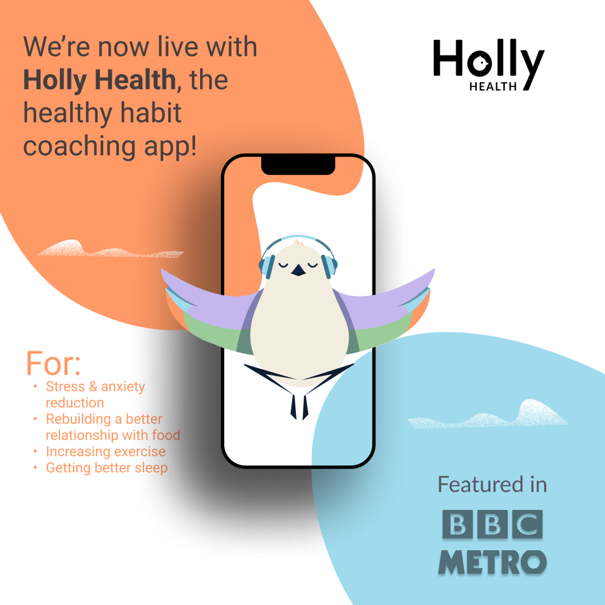 Holly health image for web-social media